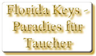 Florida Keys - Paradies für Taucher